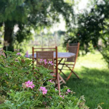 Fra Il Verde E L'azzurro *