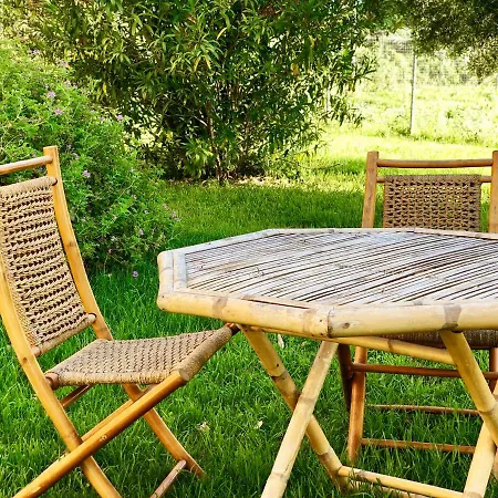 Fra Il Verde E L'azzurro Oristano