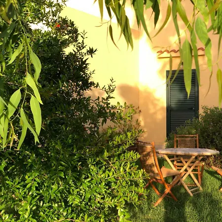 Fra Il Verde E L'azzurro * Oristano